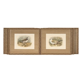 Lilian Medland (1880 - 1955): Six Ornithological Prints