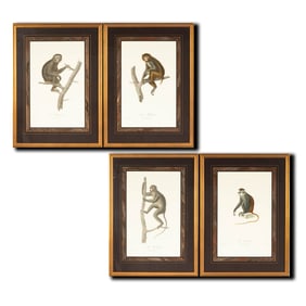 After Jean-Baptiste Audebert, French, 1759 - 1800,: Four Works (Monkeys)