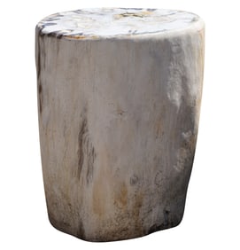 A White Petrified Wood Accent Piece