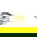 item-205977301=2