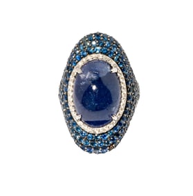 18 Karat White Gold, Diamond, Sapphire and Tanzanite Ring