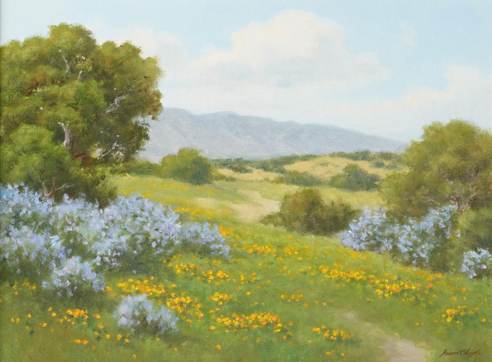 David Chapple, California B. 1947, Canyon Lilac (1 of 9)