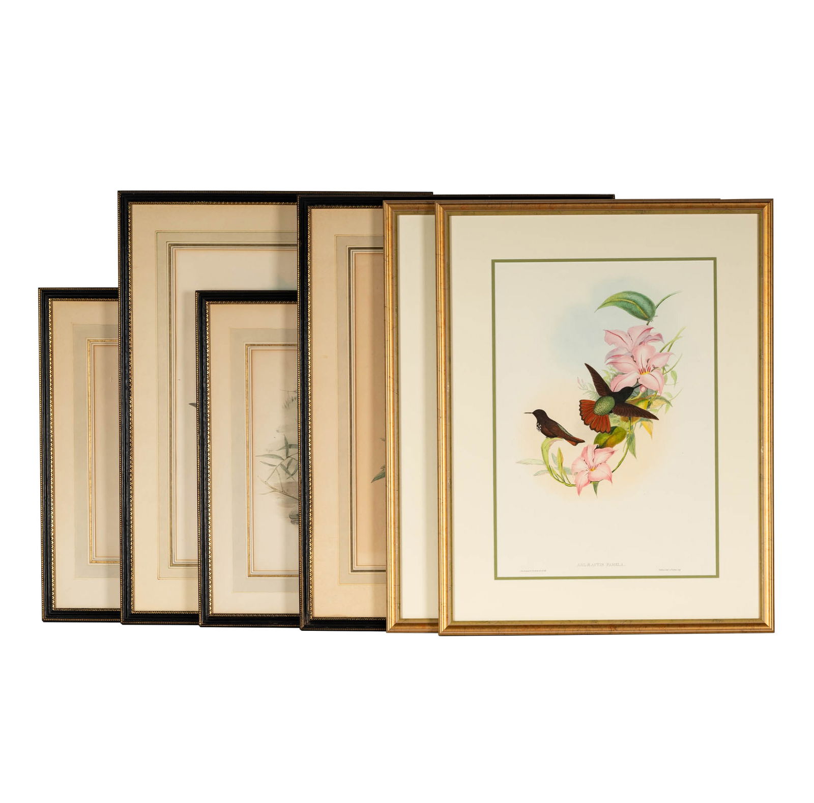 A Set of Four English Ornithology Prints (1 of 14)