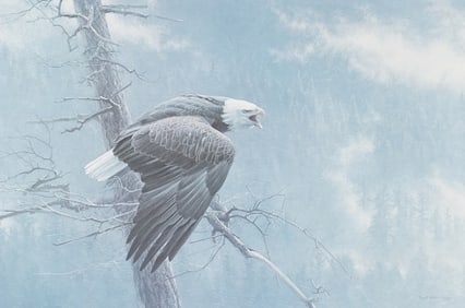 Robert Bateman, 1842 - 1922, Eagle Print