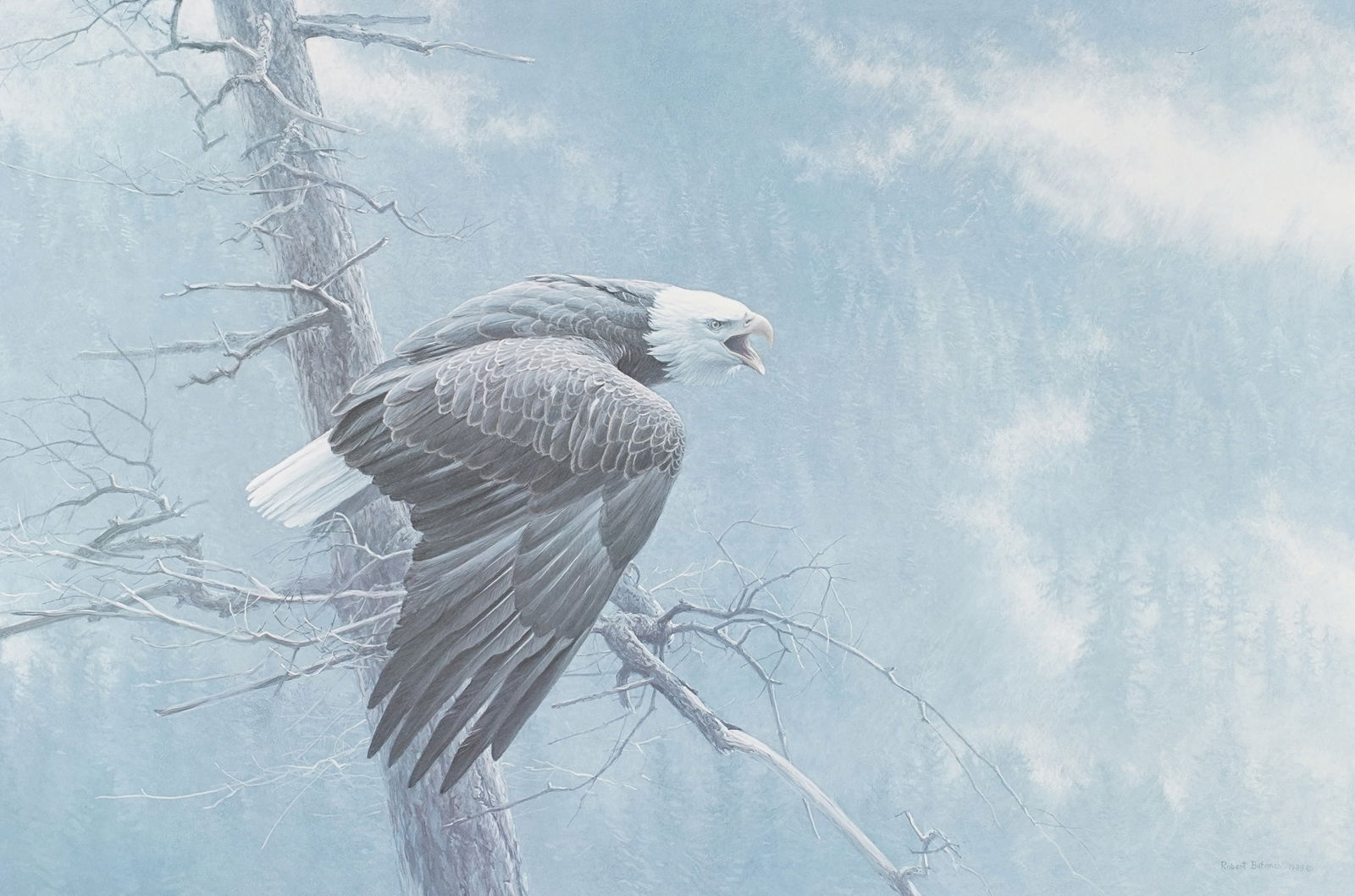 Robert Bateman, 1842 - 1922, Eagle Print (1 of 12)
