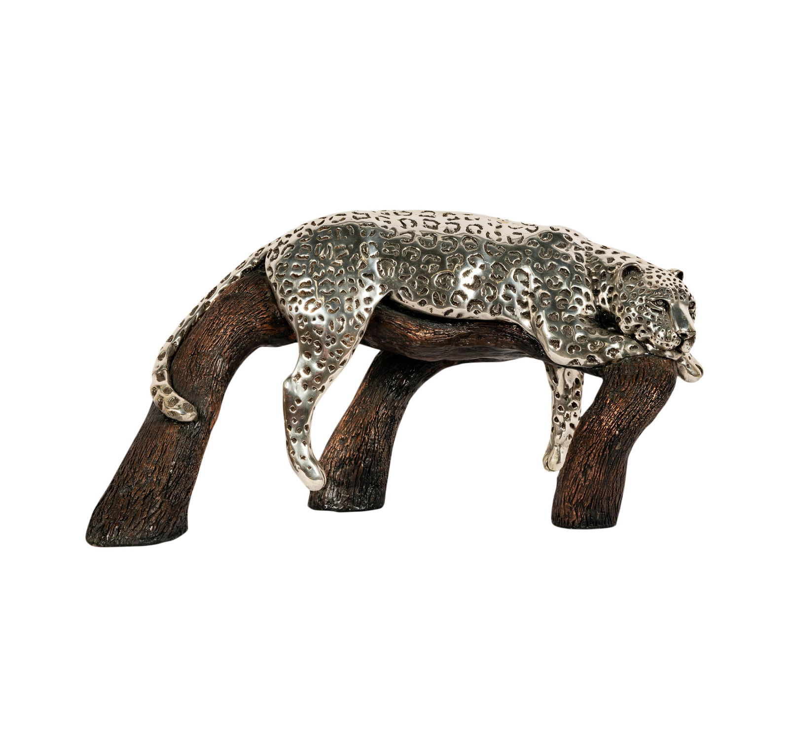 Ricardo del Rio for D'Argenta: Leopard On A Branch (1 of 16)