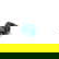 item-209353205=1