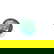 item-209353206=1