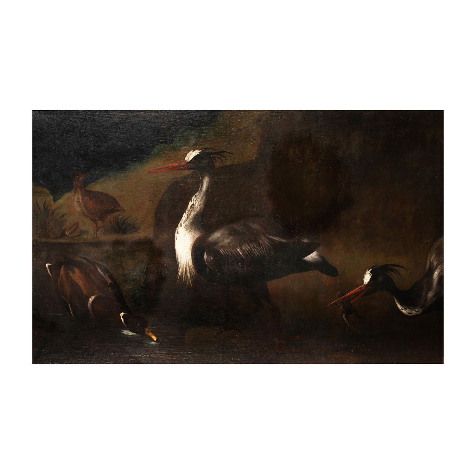 Continental School: Bird (1 of 12)