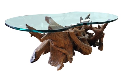 A Root Wood and Glass Coffee Table