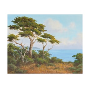David Chapple, B. 1947, Carmel Coast