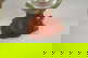 item-210497106=10