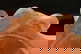 item-210497106=4