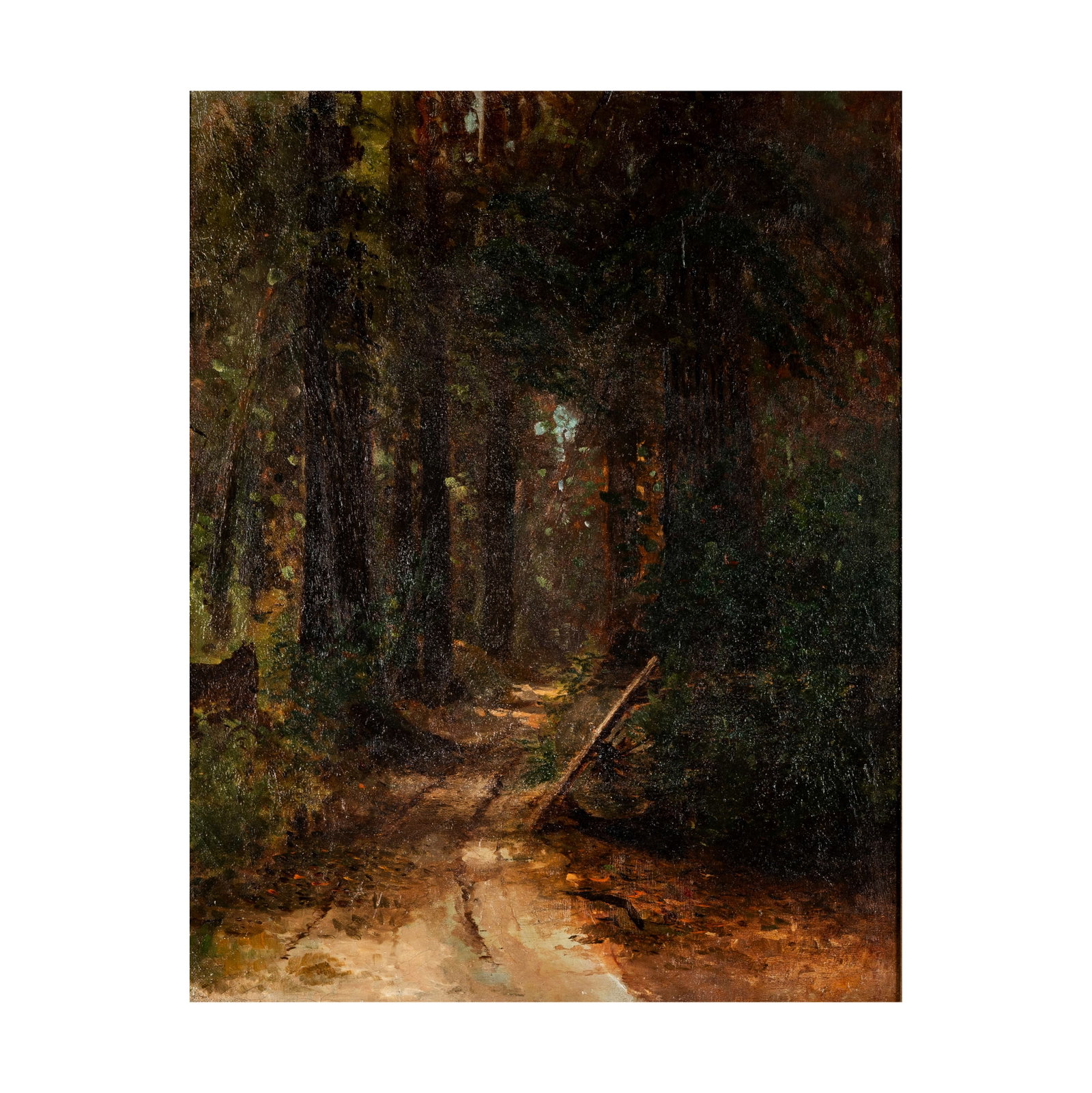 American School, 19th Century, California Redwoods: oil on canvas; unsigned18 x 14 in. (45.7 x 35.6 cm.), Frame: 23 1/4 x 19 1/2 in. (59.1 x 49.5 cm.)
