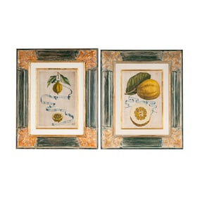 Giovanni Ferrari (c. 1582 - 1655): Two Plates from Hesperides