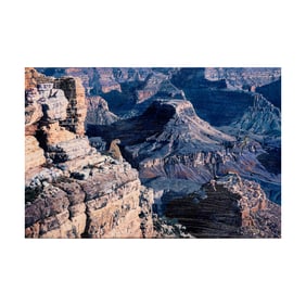 Dr. Ray Martens, Early Morning Encounter, Grand Canyon