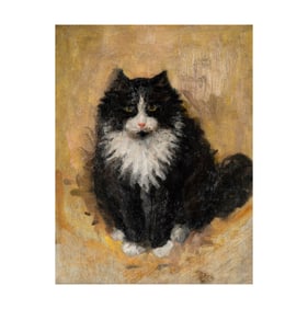 Artist Unknown: Black and White Cat