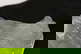 item-210500506=13