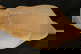item-210500506=14
