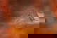 item-210500506=2
