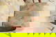 item-210500561=12
