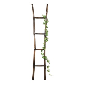 A Decorative Bamboo Ladder