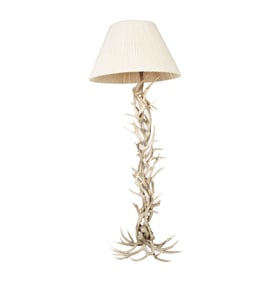 An Antler Floor Lamp