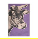 Andy Warhol, 1928-1987, Cow