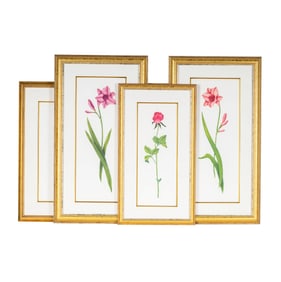 Nancy Nevin, 20th Century, Four Works (Botanicals)