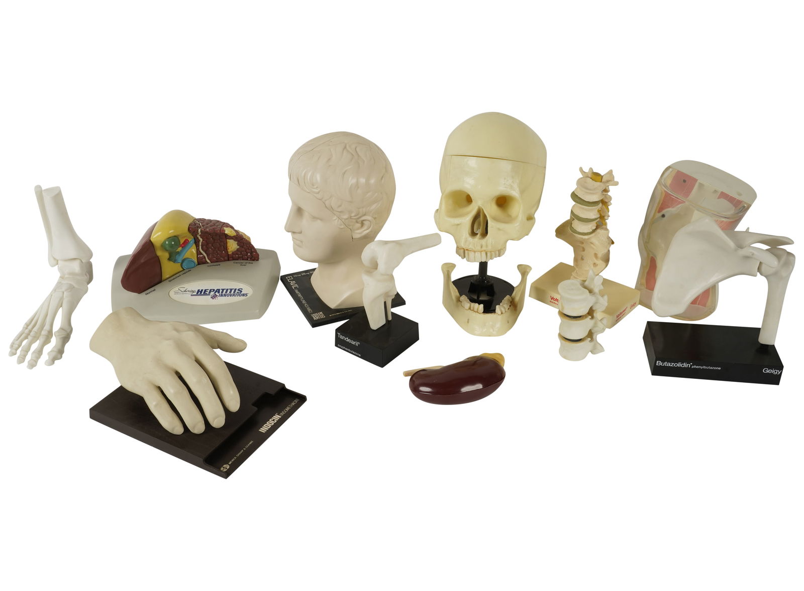 A Group of Medical Models (1 of 10)