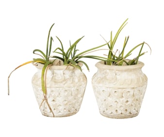 A Pair of Cast Stone Planters