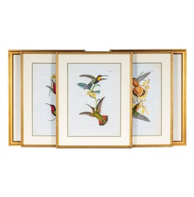 A Group of Five Ornithological and Botanical Prints