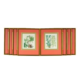 A Set of Eight English Botanical Hand-Colored Engravings