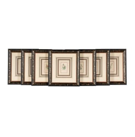 A Set of Seven French Botanical Prints
