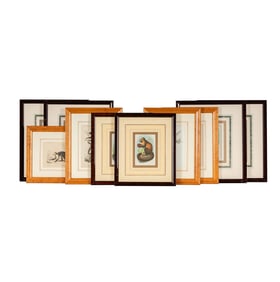 Ten Antique Prints of Monkeys