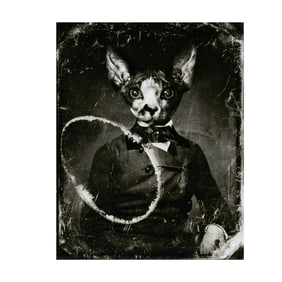 Carla Broekhuizen, 20th/21st Century, Sphynx Decay