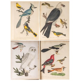 Alexander Wilson, 1766-1813, American Ornithology; or, The Natural History of the Birds of the