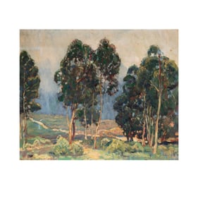 Forest Landscape