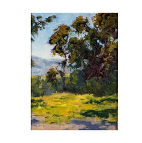 California Landscape