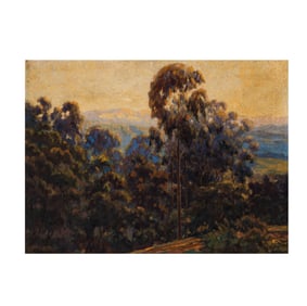 Forest Landscape