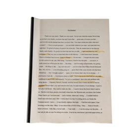 Richard Lewis I'm Doomed Script