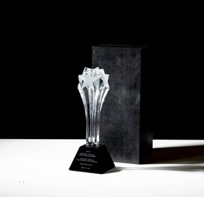 Bob Newhart: Critics' Choice Award