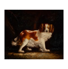 Bob Newhart: A Portrait of a Dog