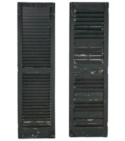 A Pair of French Window Shutters