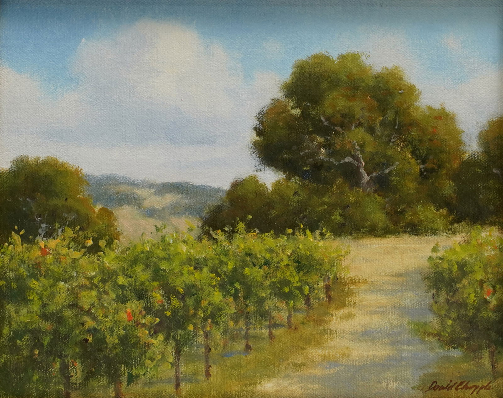 David Chapple, B. 1947, Foothill Vines: oil on canvas board signed lower right, titled verso 8 x 10 in. (20.3 x 25.4 cm.) Frame: 11 1/2 x 13 1/2 in. (29.2 x 34.3 cm.)