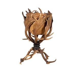 An Antler Planter