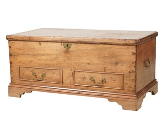 A Stained Pine Trunk