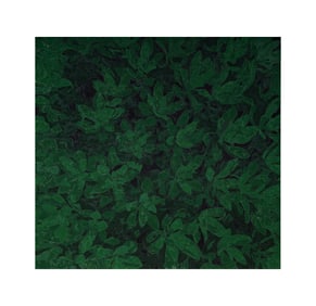 Alix Aidekman, B.1991, Untitled