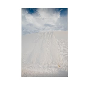 Dennis Hopper, 1936-2010, White Sands
