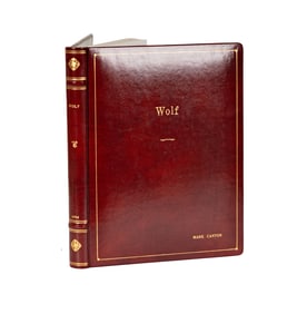 Studio Script: Wolf (1994)